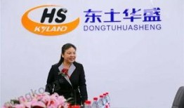 华盛董事长最新爆料,最新动态与未来战略布局