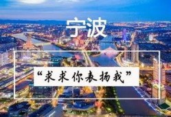 阿拉宁波最新爆料,揭秘最新热点事件背后的真相